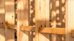 Untreated Pine Timber NZ